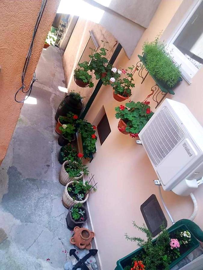 Apartmani Frankopan 塞尼 外观 照片